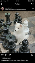 ivv